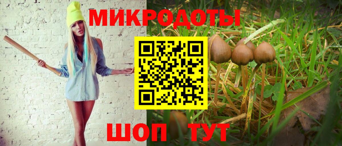 Псилоцибиновые грибы MAGIC MUSHROOMS Лысьва