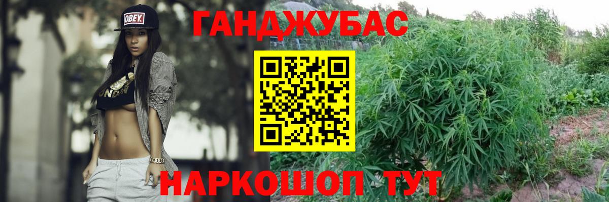 Бошки Шишки планчик Лысьва