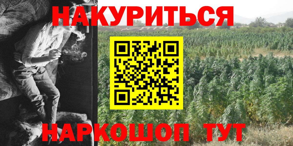 Бошки марихуана сатива  Вход с VPN  Конопля тримм  Лысьва 